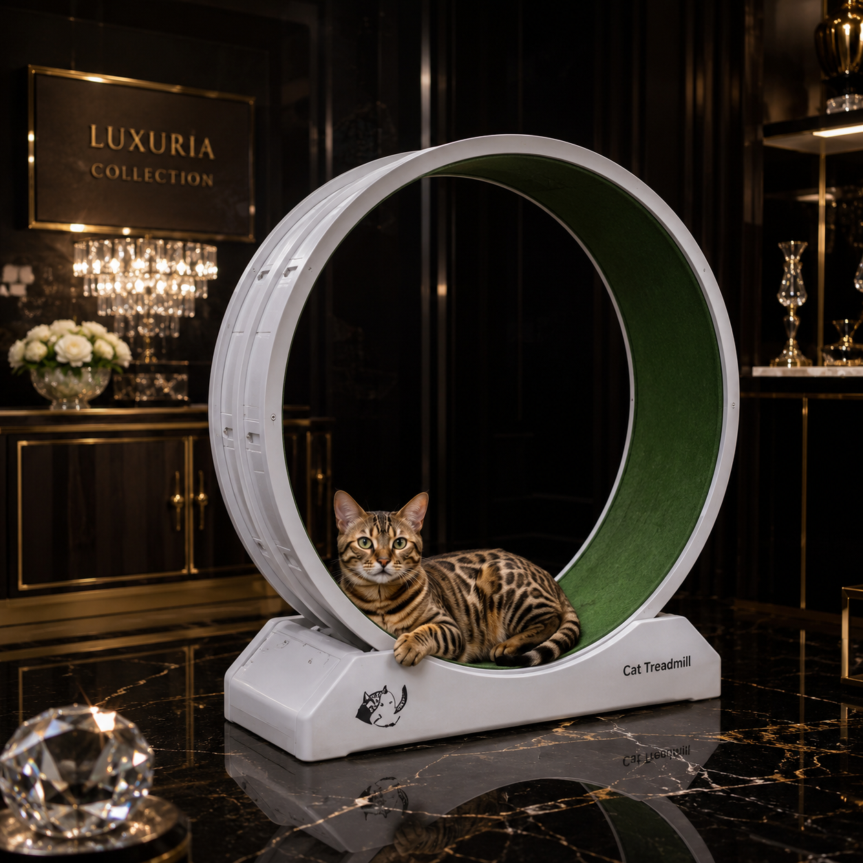 Roue d'Exercice Silencieuse pour Chat — Tapis Griffoir Amovible & Anti-Pincement