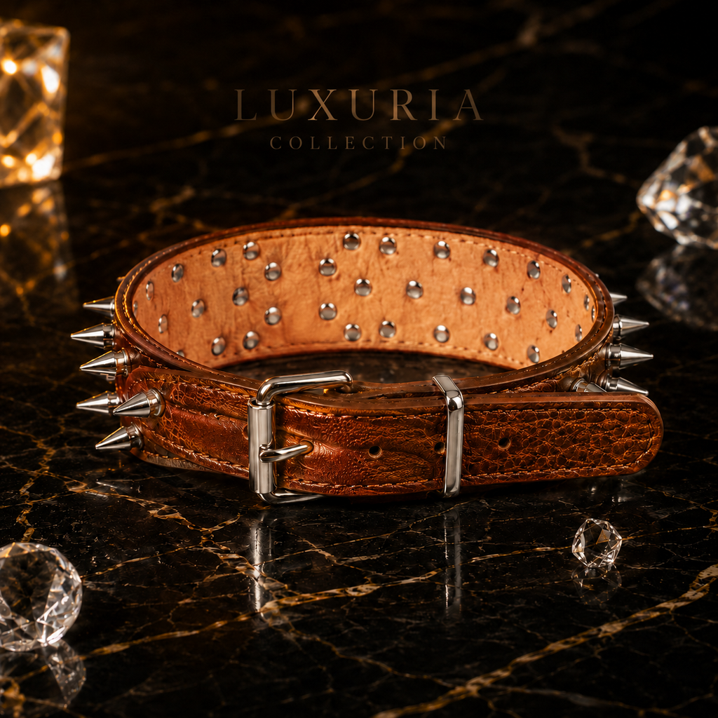 Collier Chien à Rivets – Cuir PU Résistant | Noir, Rouge & Marron | Tailles M à XXL