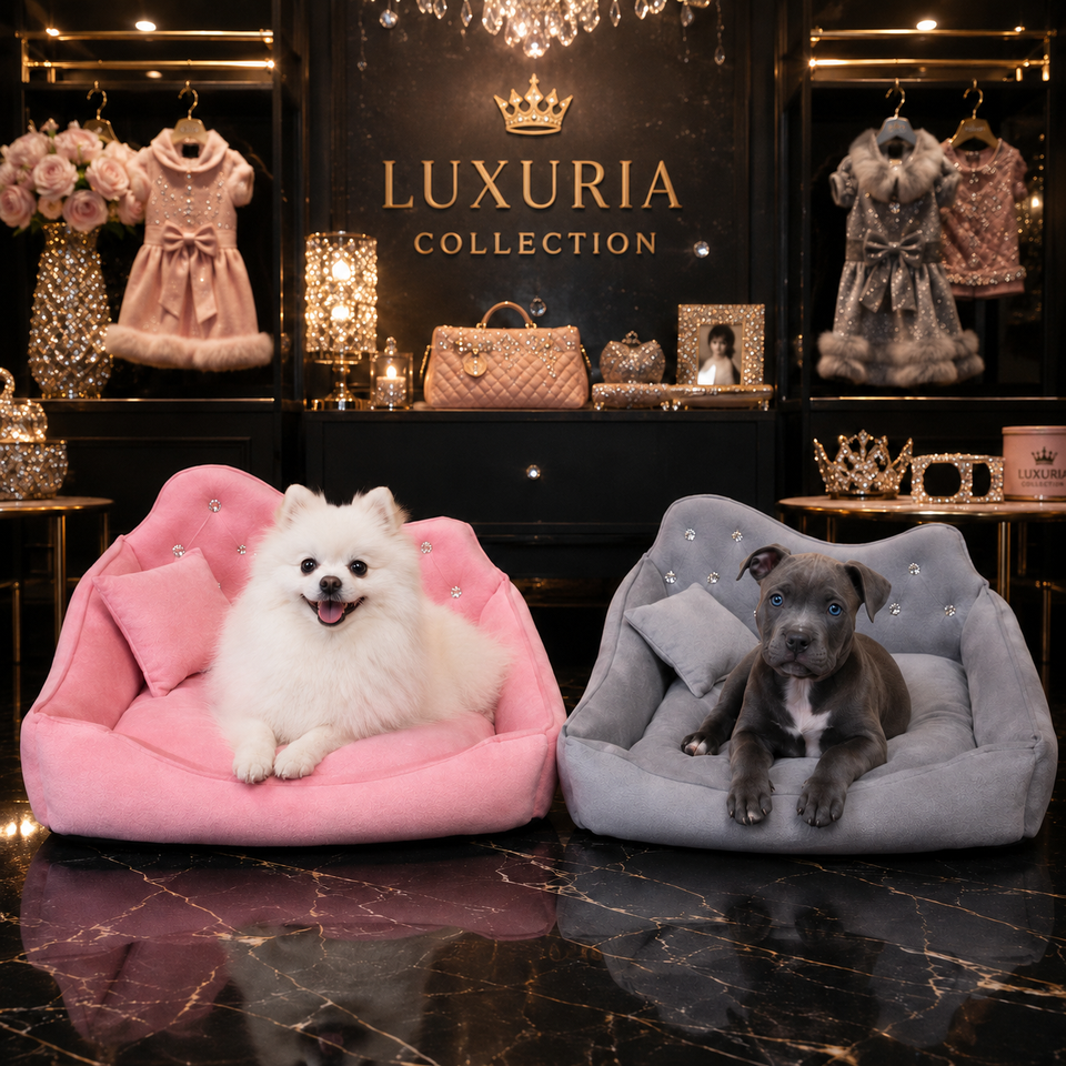 Canapé Luxe Strass pour Chien & Chat — Rose & Gris !