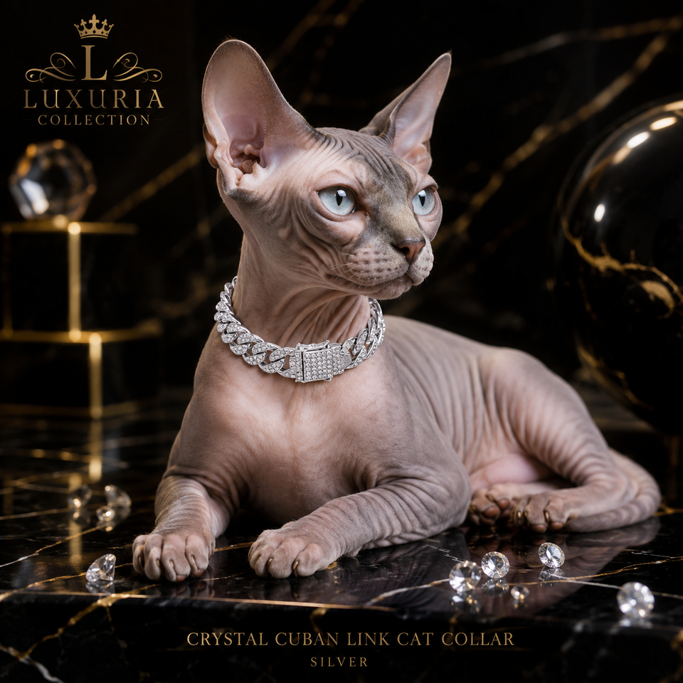 Collier Bijou Strass pour Chat & Chien – Chaîne Luxe | Or & Argent | 20 à 45 cm