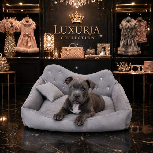 Canapé Luxe Strass pour Chien & Chat — Rose & Gris !
